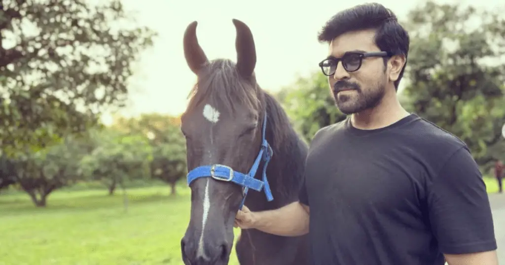 Ram Charan's Birthday with his 5 Must-Watch Films